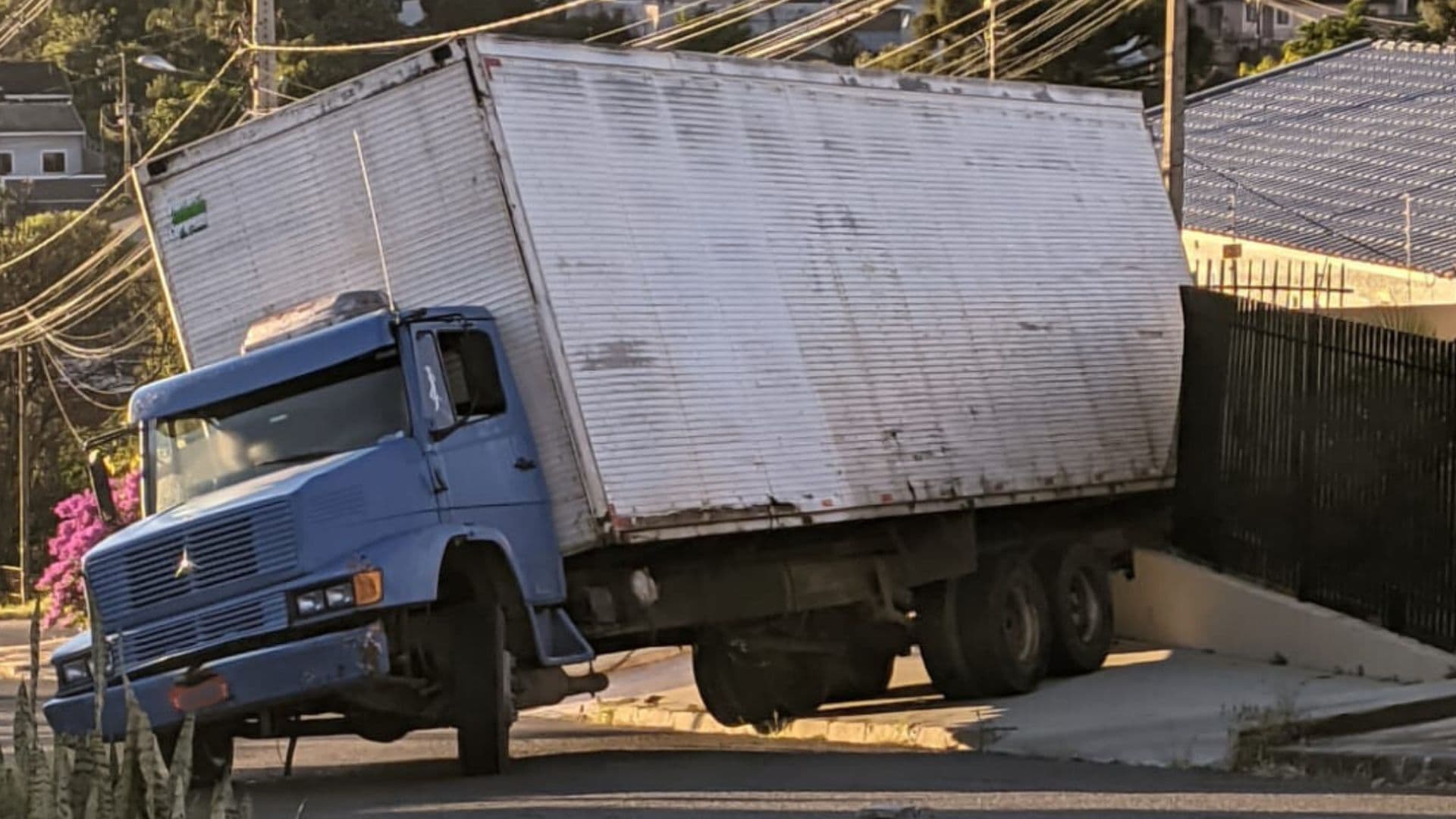 Cópia de REPORTAGEM 2024 bnt – 2025-03-31T085608435