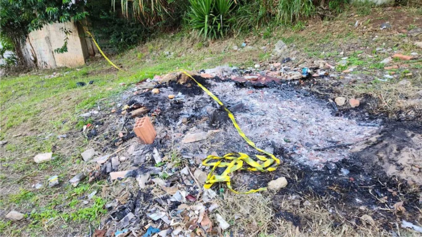 Corpo de jovem é encontrado em mata em Curitiba