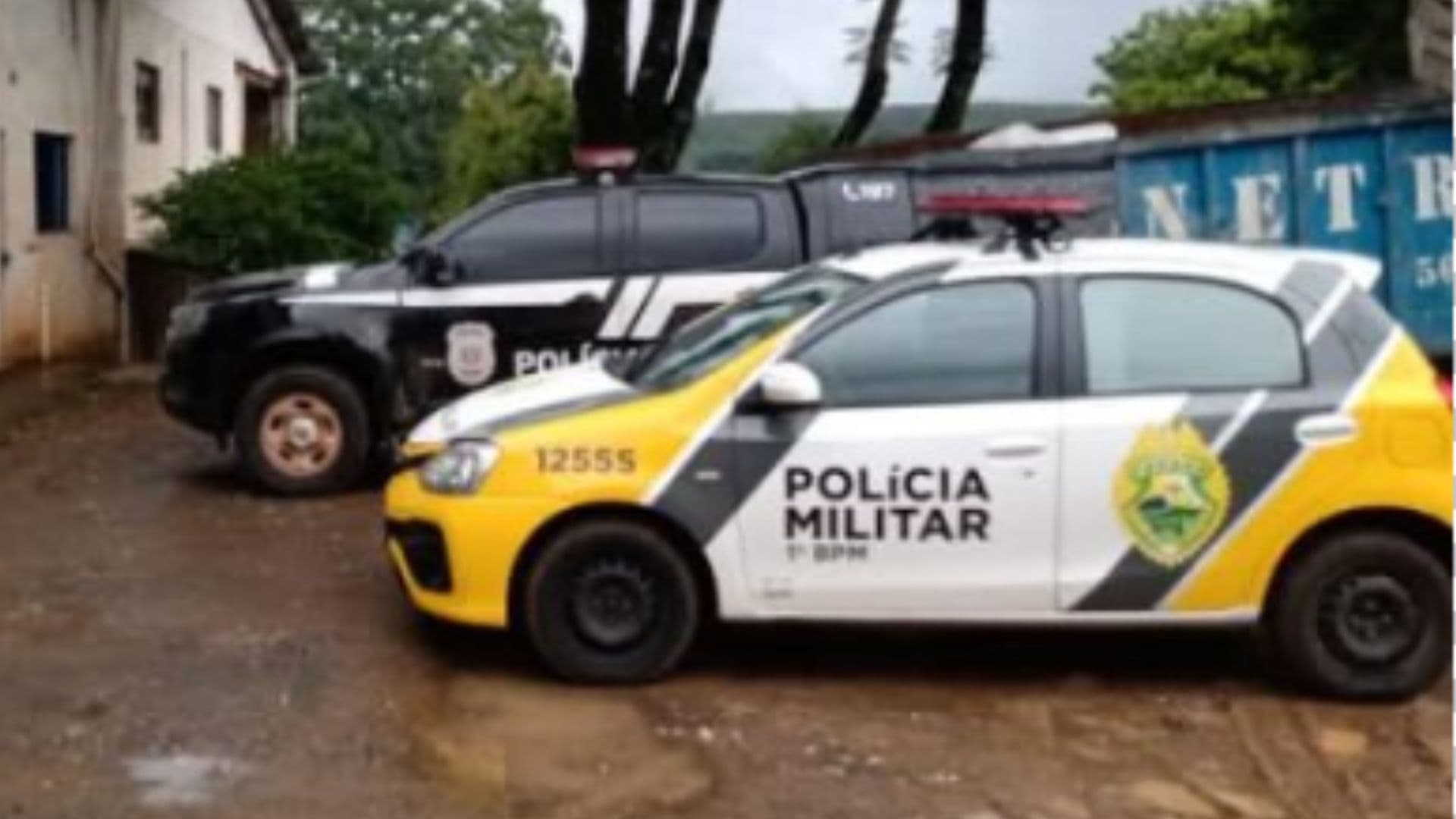 Cópia de REPORTAGEM 2024 bnt – 2025-06-18T095734444