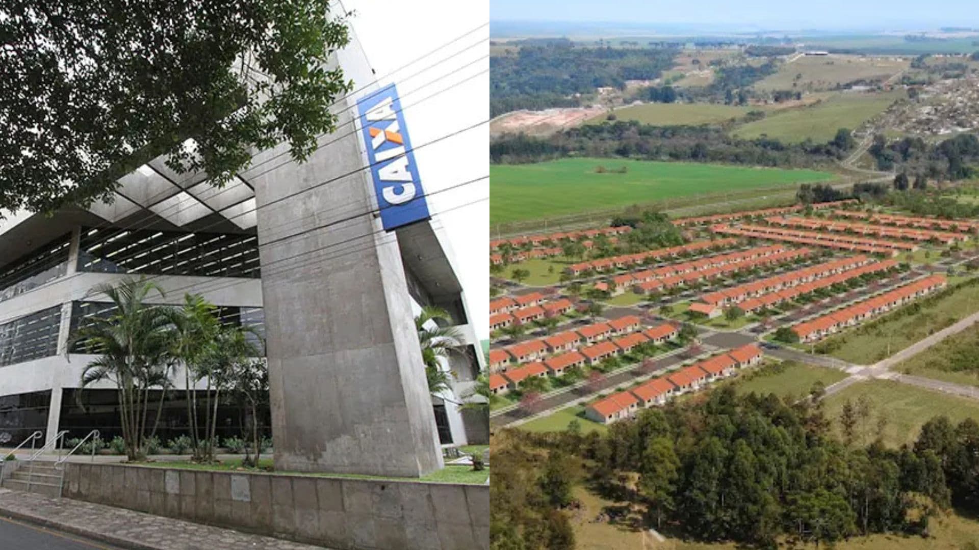 Cópia de REPORTAGEM 2024 bnt – 2025-07-25T144734563