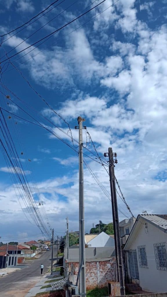 Moradores salvam gato preso em poste no bairro Uvaranas, em Ponta Grossa
