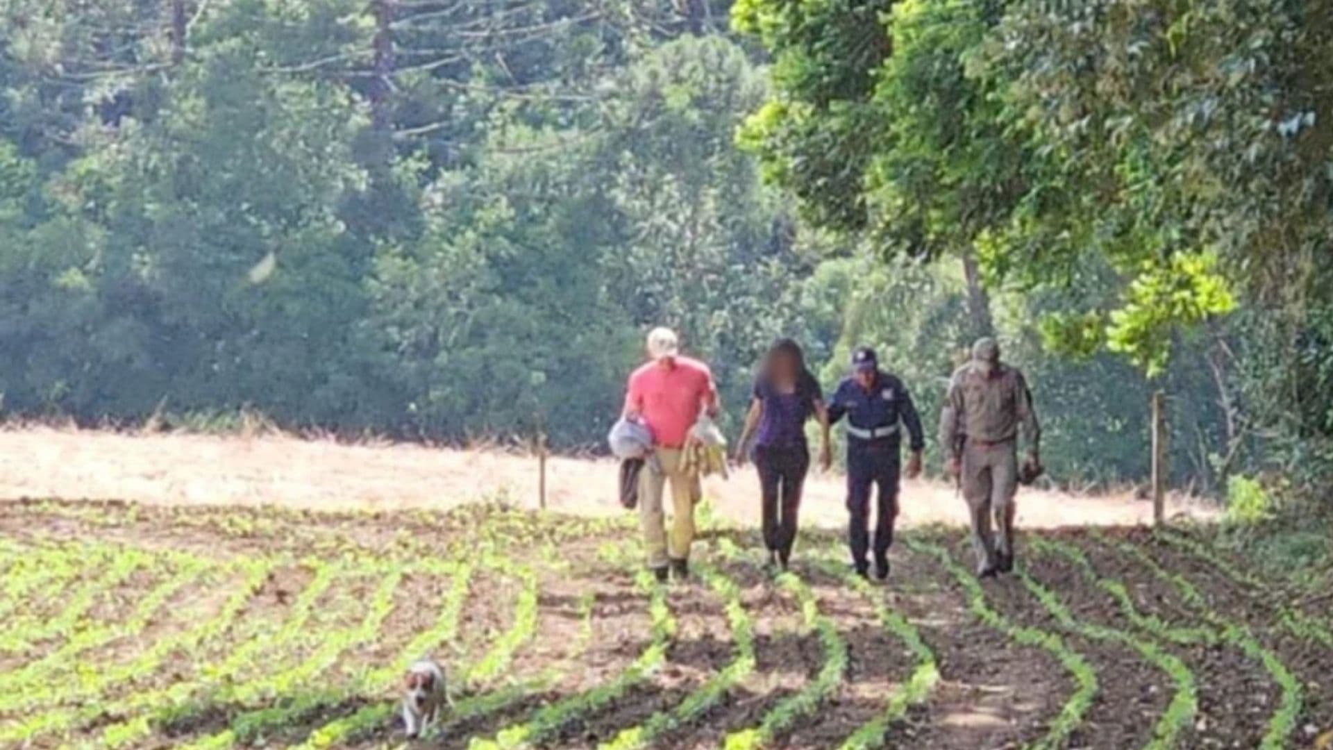 Mulher desaparecida em Goiás é encontrada em mata no Paraná após 7 meses