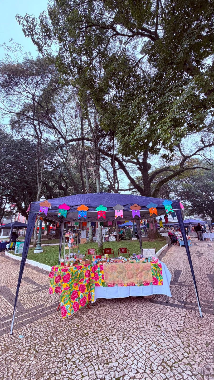 Feira Barão Turismo e Arte