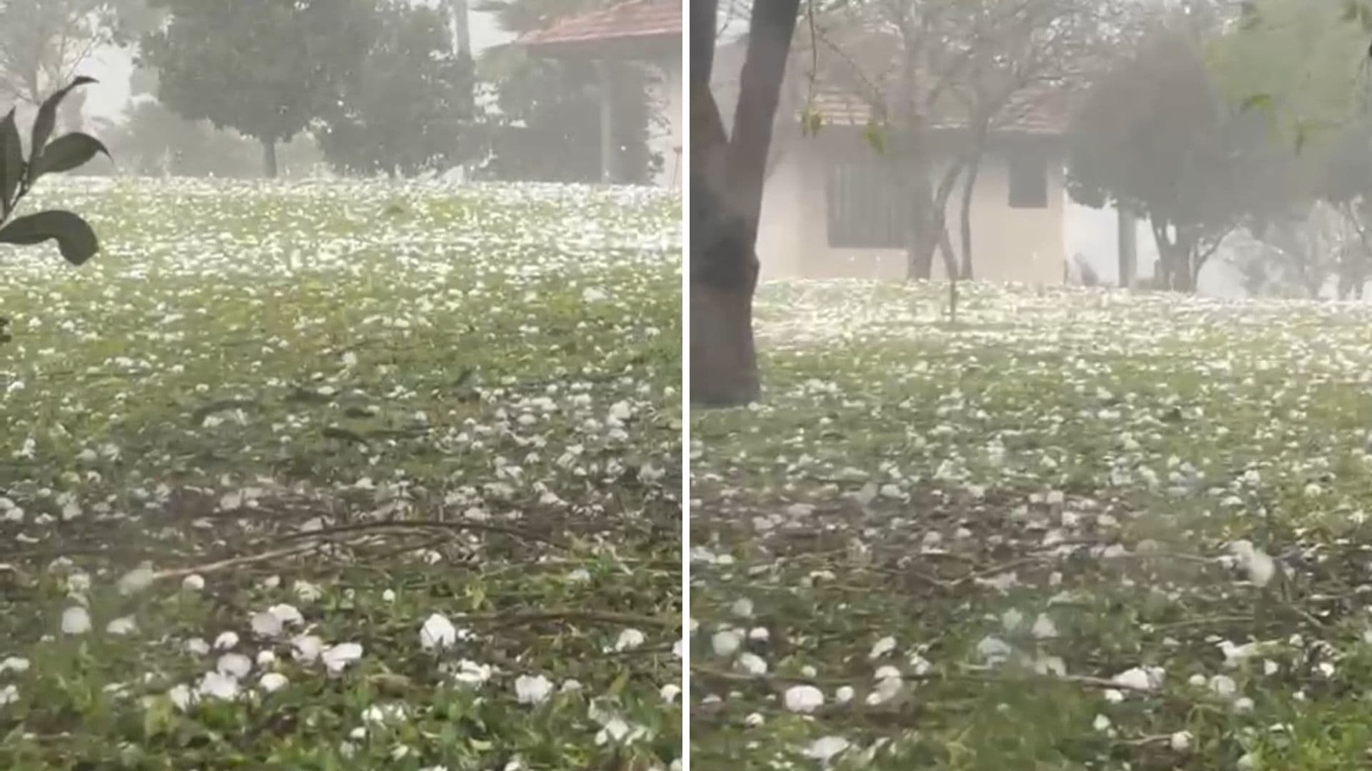 Ao BnT, moradora de Castro relata temporal com granizo: “foi muito assustador”
