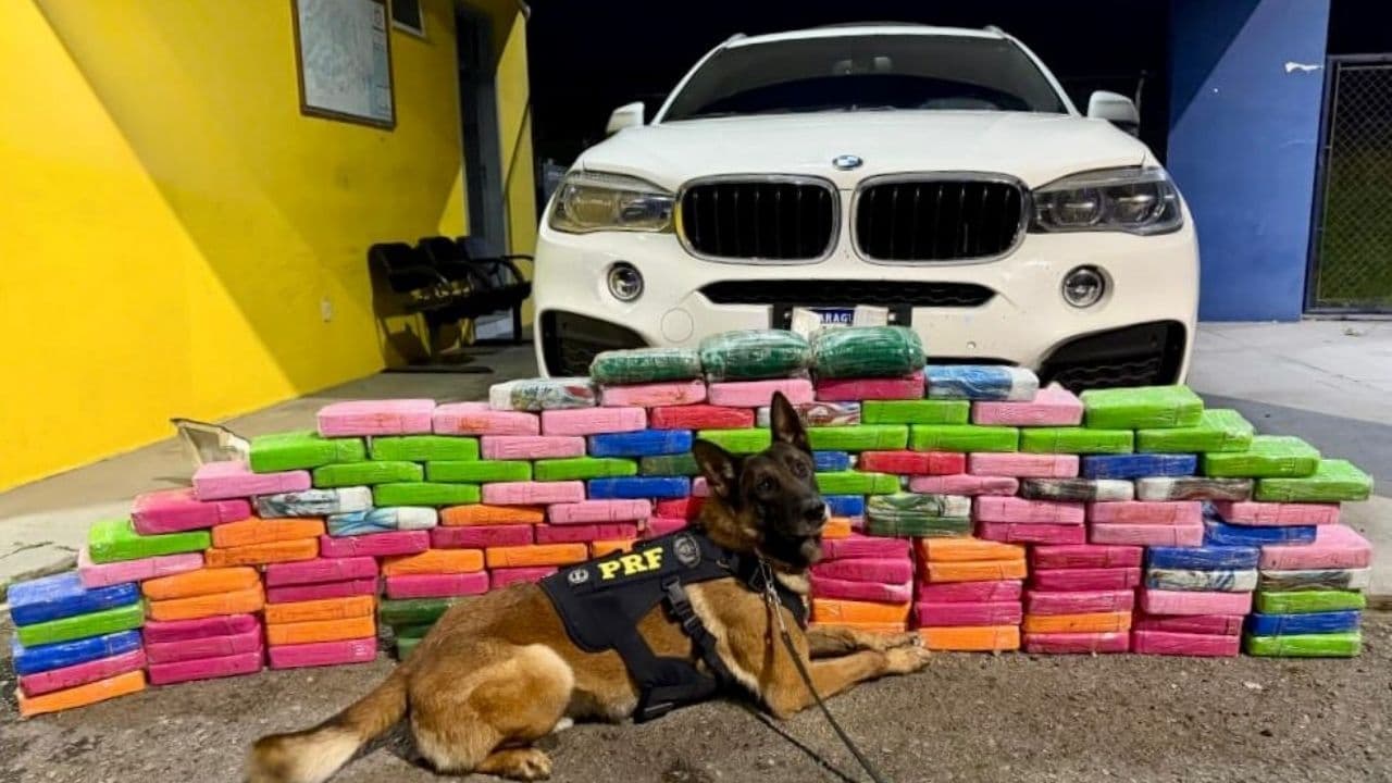 Casal é preso e 136 quilos de cocaína em BMW são apreendidos na BR-277 em Balsa Nova