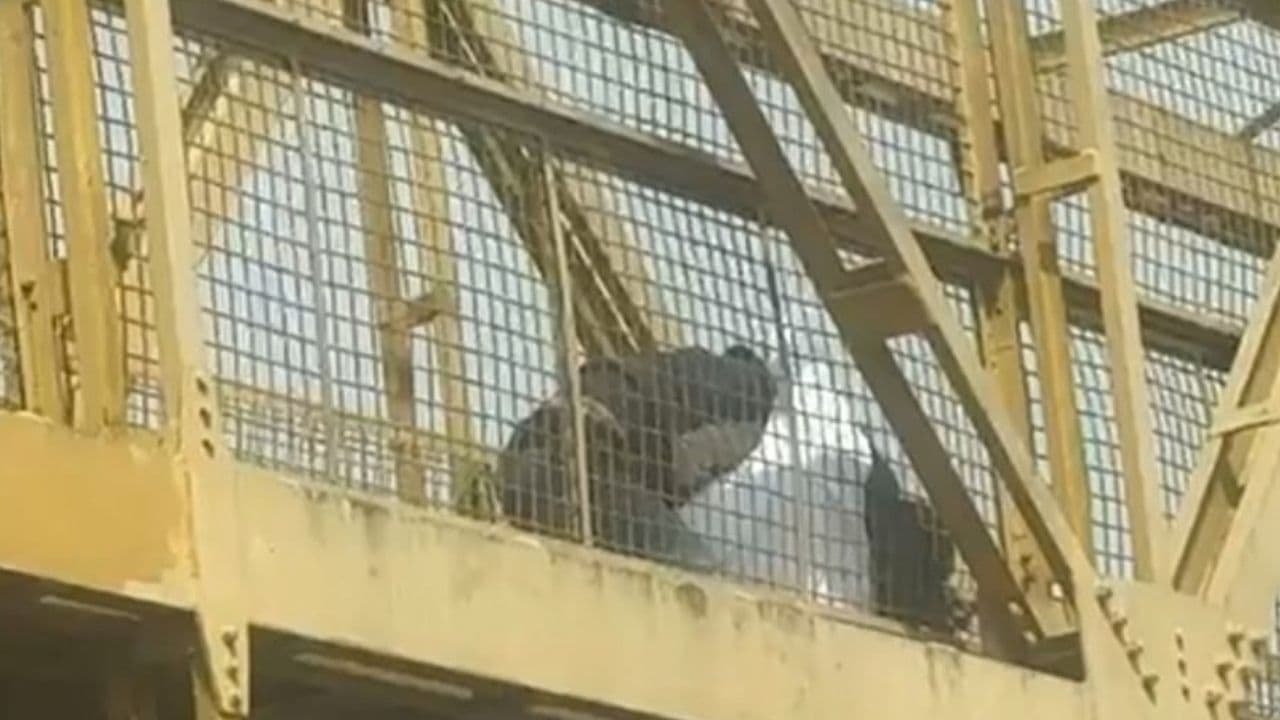 Dois homens brigam em passarela no Centro de Ponta Grossa