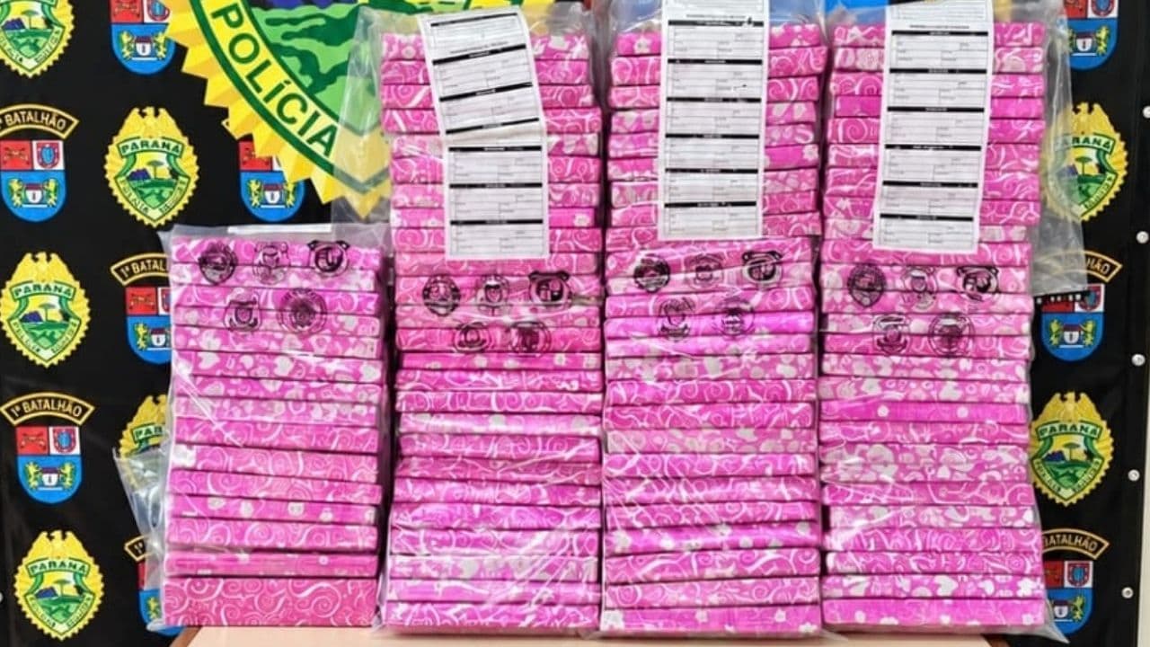 Choque K9 apreende 73 kg de maconha em operação no bairro Boa Vista, em Ponta Grossa