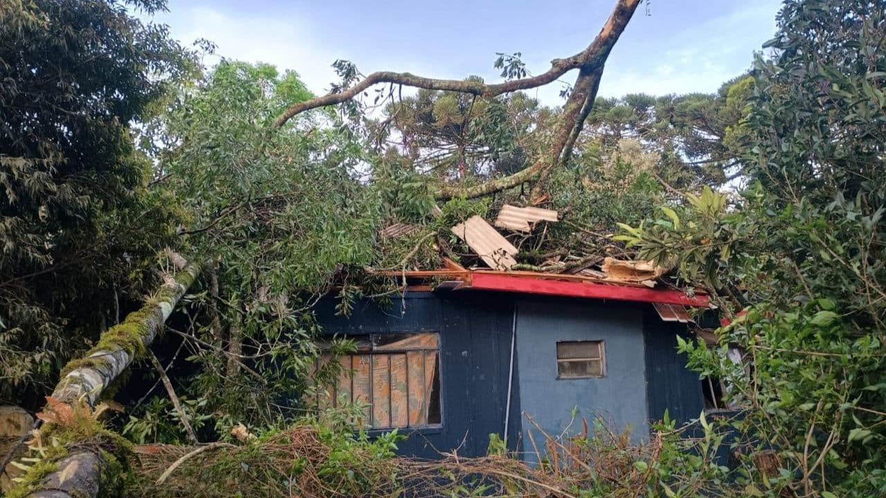 Ventos fortes causam estragos em área rural de Piraí do Sul